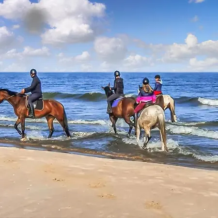 Cozy In With Wifi Feriehus *